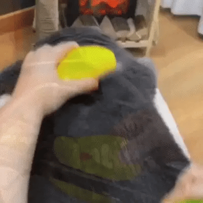 Mascota Cepillo Vapor 3 en 1 Múltiple